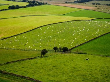 Rolling hills in the English countryside